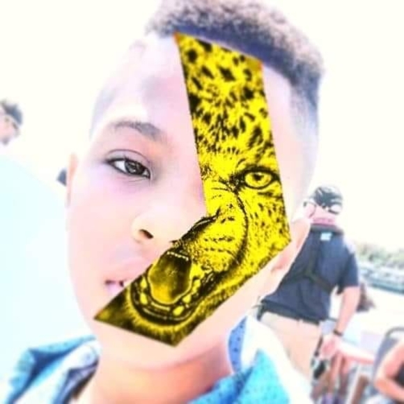 Meet your Posher, Youssef - Picture 1 of 1